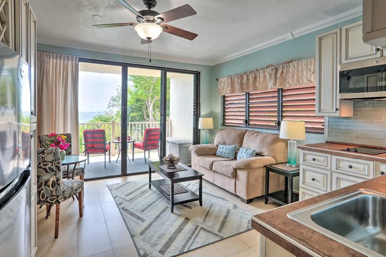 Saint Thomas Condo With Ocean Views, Walk To Beach! Frydendal 0*,